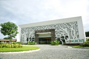 mangrove-exterior